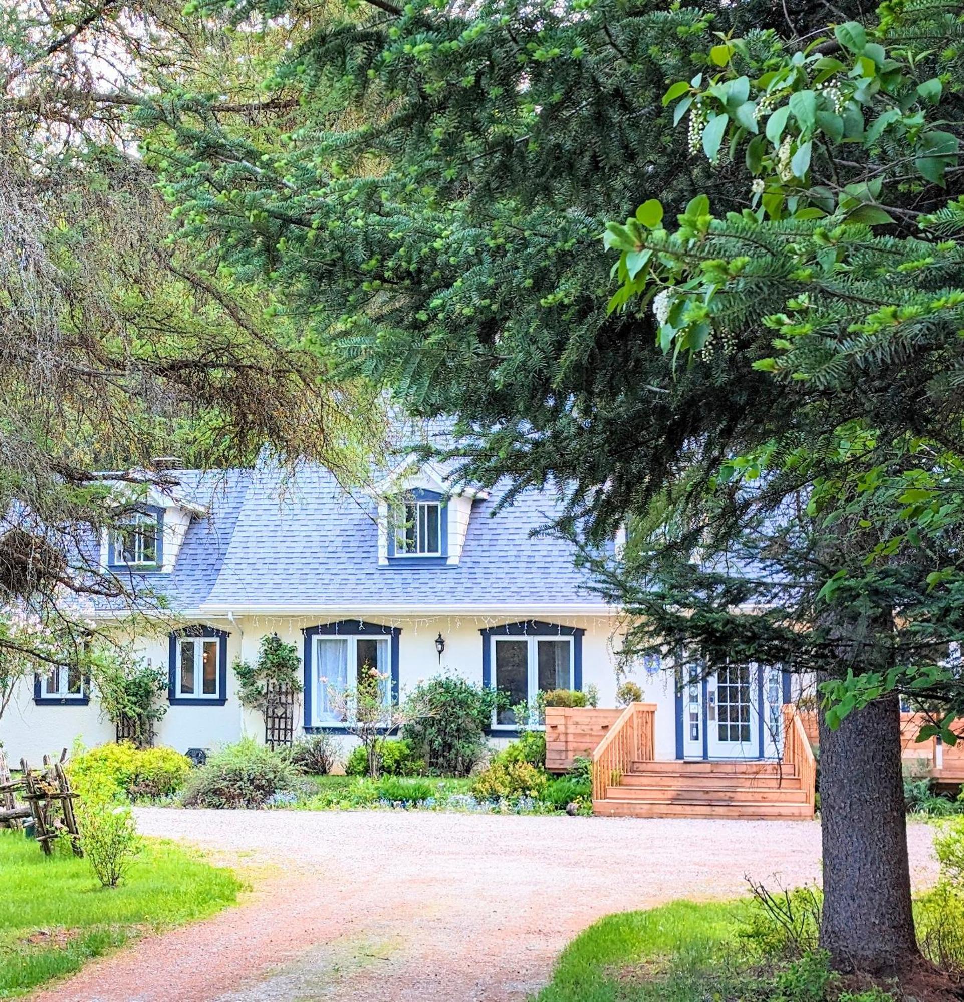 La Tremblante Bed and Breakfast Mont-Tremblant Exteriör bild