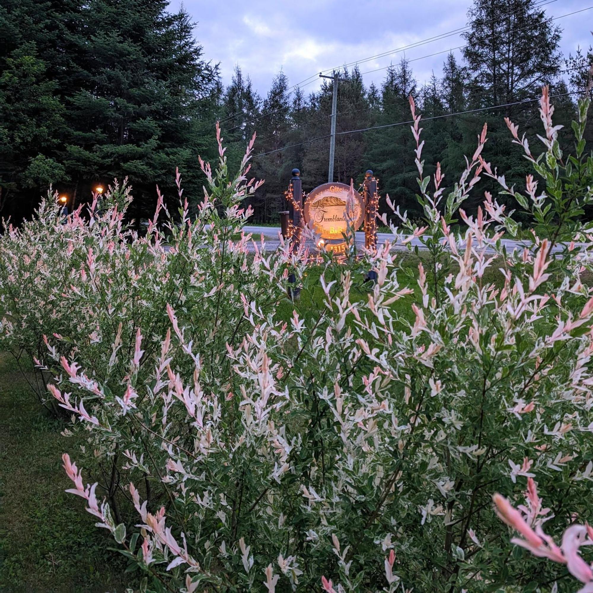 La Tremblante Bed and Breakfast Mont-Tremblant Exteriör bild