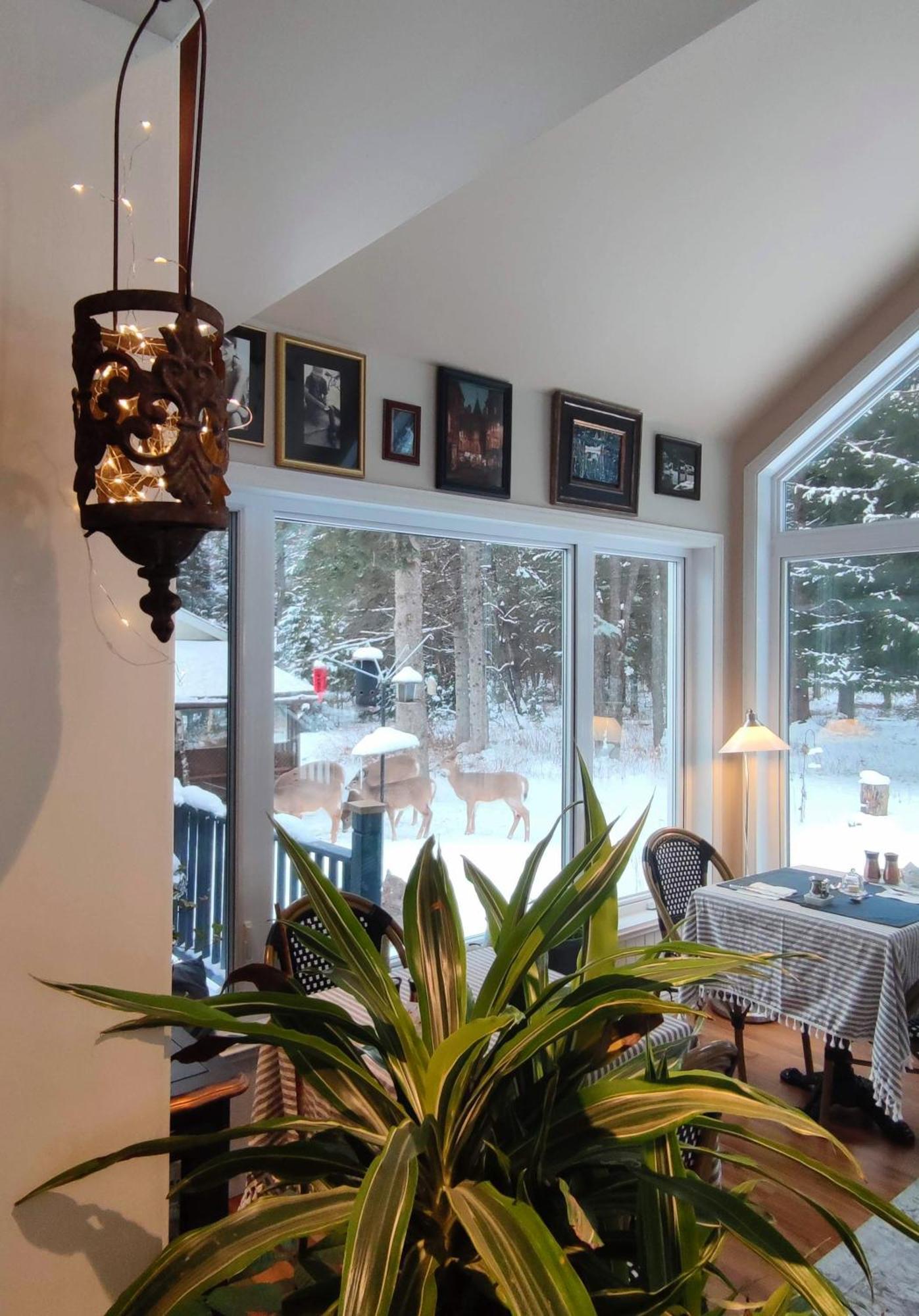 La Tremblante Bed and Breakfast Mont-Tremblant Exteriör bild