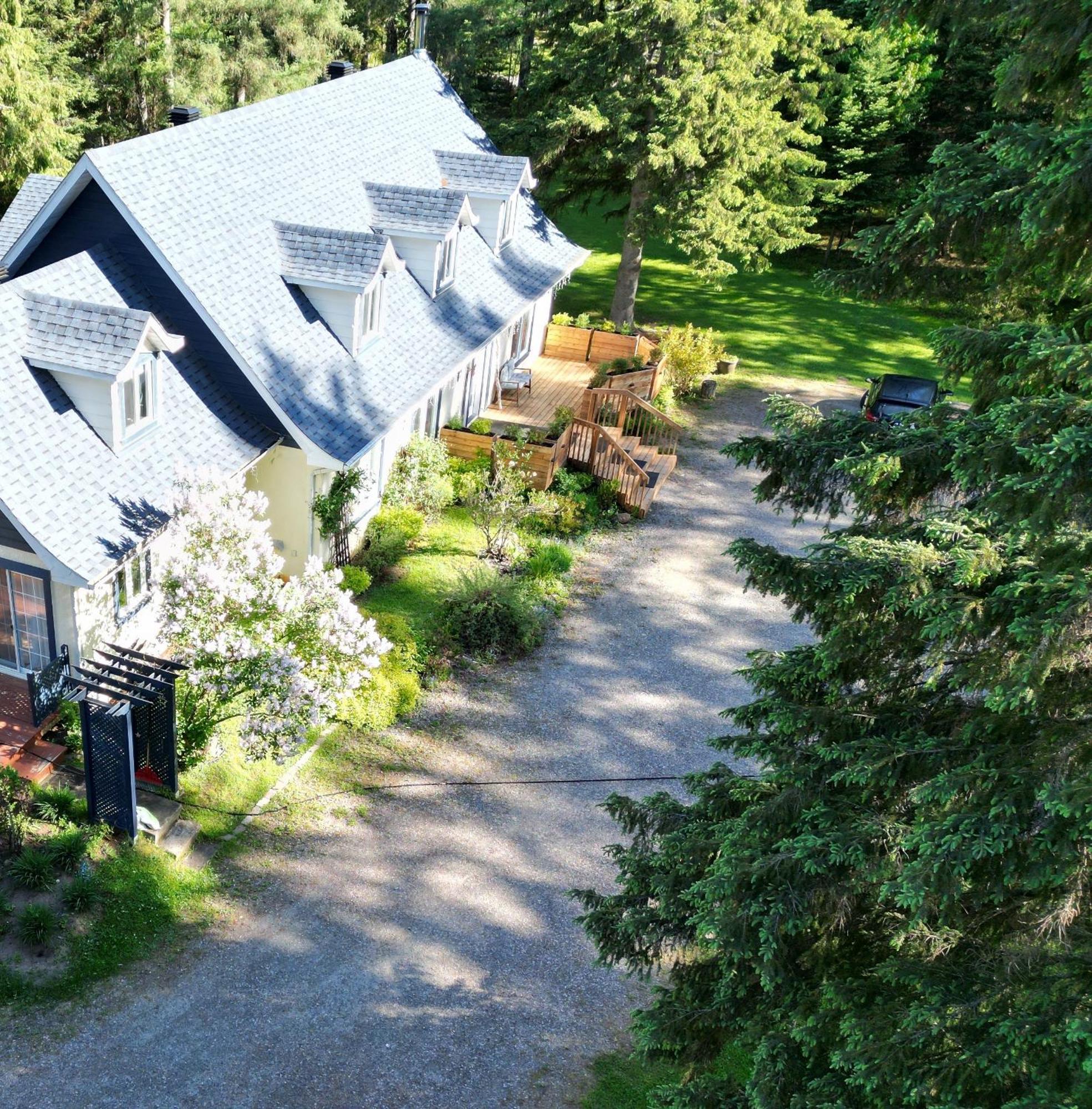 La Tremblante Bed and Breakfast Mont-Tremblant Exteriör bild