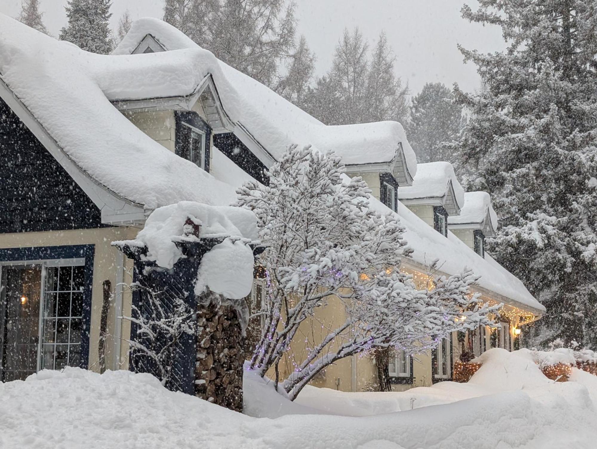 La Tremblante Bed and Breakfast Mont-Tremblant Exteriör bild