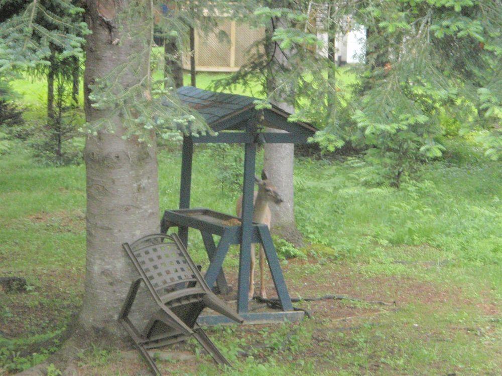La Tremblante Bed and Breakfast Mont-Tremblant Exteriör bild